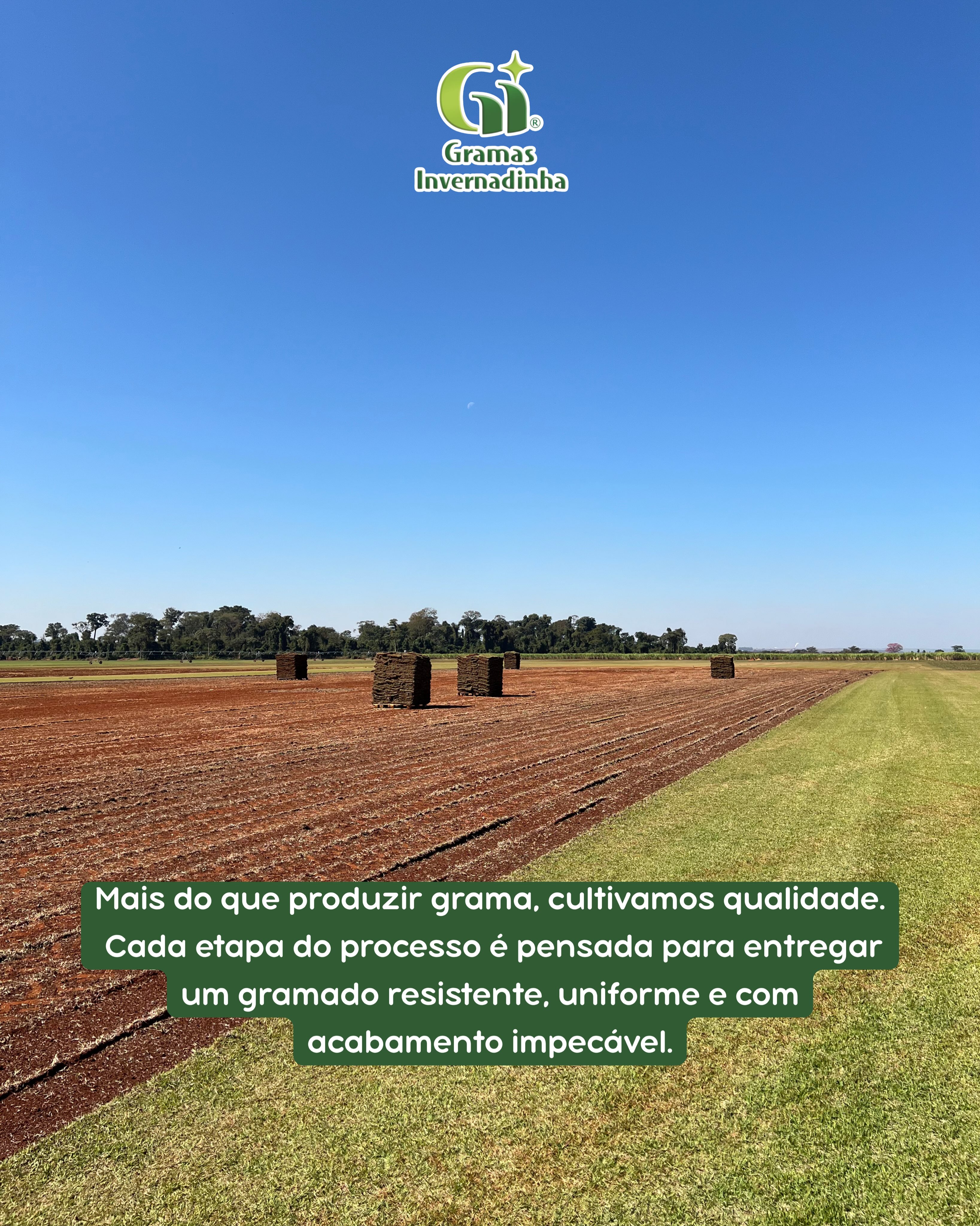 Área de produção de grama da Fazenda Invernadinha